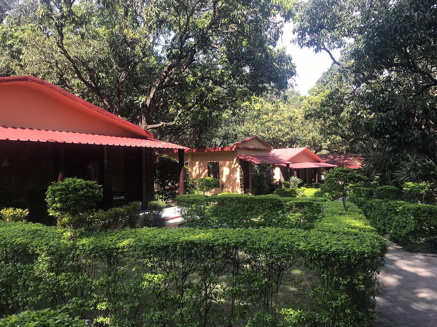 KRISHNA WILDERNESS RETREAT CORBETT - 18500/-